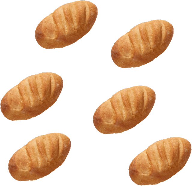 bg-loafs